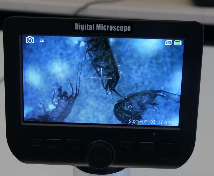 Digital Microscope