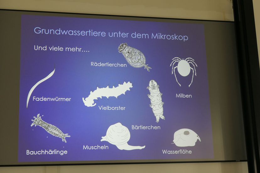 Superhelden im Grundwasser